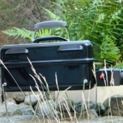Weber Go Anywhere Gas