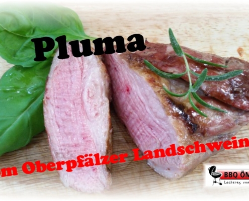 Pluma vom Oberpfälzer Landschwein 5