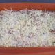 Low Carb Zucchini Lasagne aus dem Maximus Holzbackofen 17