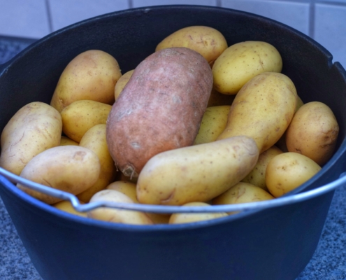Kartoffelgratin